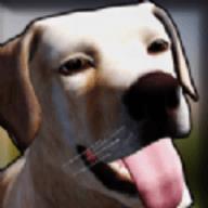 狗收容所模拟器3D手机版免费版