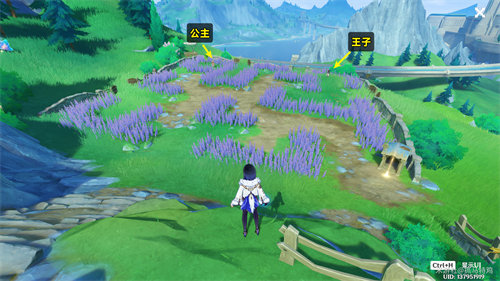 原神在开满鲜花的草地上任务完成攻略