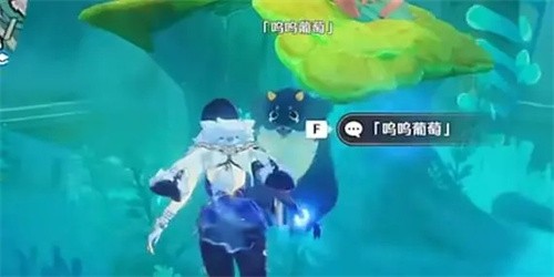 喂养呜呜葡萄第一天怎么过 原神工程师的笔记喂养呜呜葡萄第一天攻略