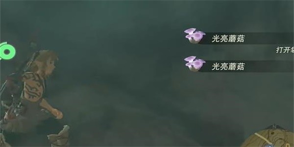 王国之泪照亮洞窟的蘑菇任务怎么做-王国之泪照亮洞窟的蘑菇任务攻略
