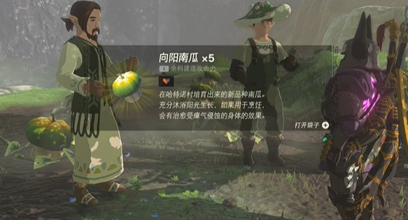 王国之泪真正的哈特诺名产怎么过 王国之泪真正的哈特诺名产迷你挑战攻略