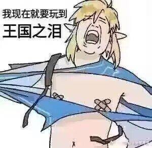 竞选弱智吧吧主是什么梗 王国之泪竞选弱智吧吧主梗介绍
