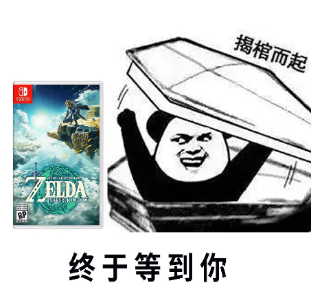 竞选弱智吧吧主是什么梗 王国之泪竞选弱智吧吧主梗介绍