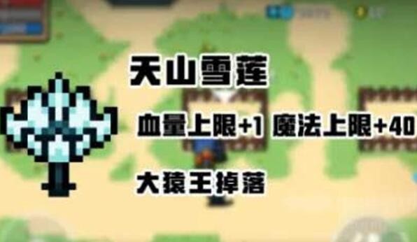 元气骑士天山雪莲有什么作用 元气骑士天山雪莲作用介绍