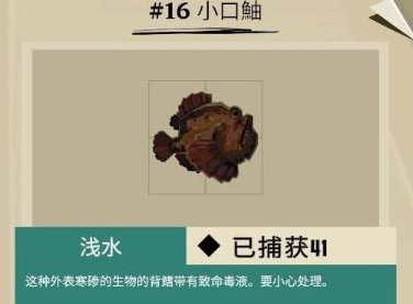 渔帆暗涌康吉鳗鱼位置在哪 渔帆暗涌盖尔悬崖全鱼类位置一览