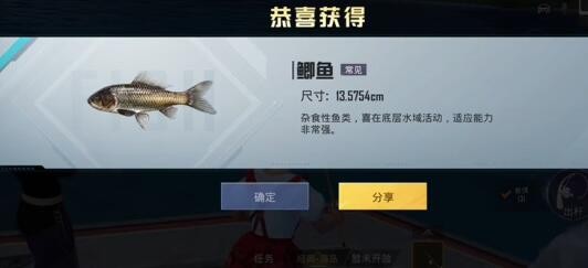 和平精英绿洲世界垂钓等级怎么提升 和平精英绿洲世界垂钓等级提升攻略