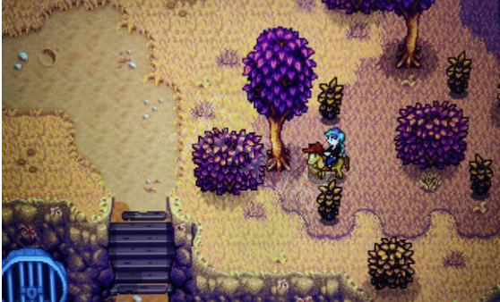 星露谷物语杨桃购买方法分享