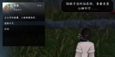 逆水寒手游声声候归任务怎么做6