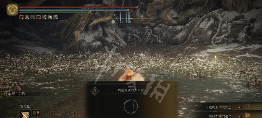 《艾尔登法环标准版与豪华版区别详解》（揭秘游戏内容、优化效果、价格等差异，助你选择心仪版本）