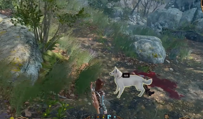 博德之门3双线操作成就怎么做8