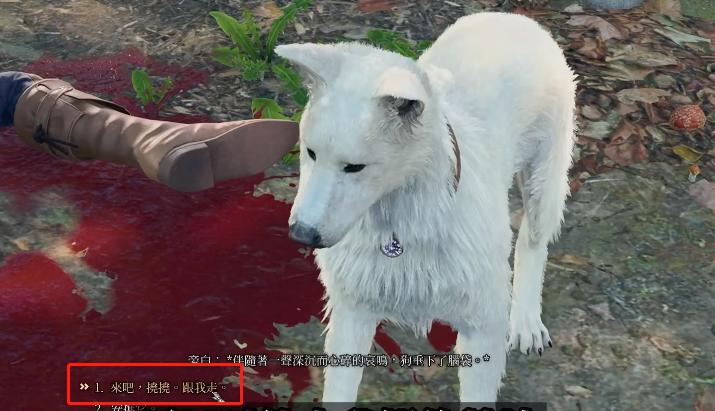 博德之门3双线操作成就怎么做9