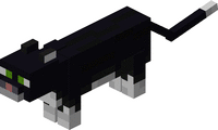 201756835555665.gif