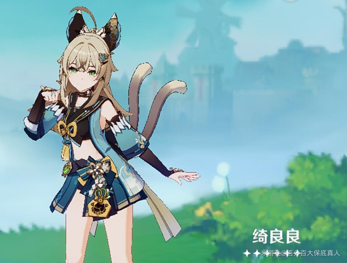 原神4.0盾辅角色使用推荐
