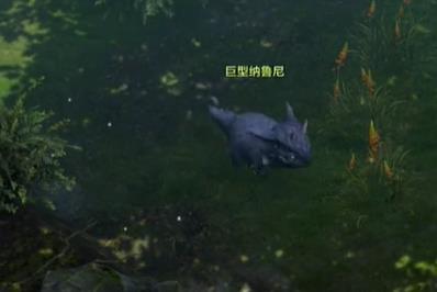 命运方舟纳鲁尼岛之心怎么获得5