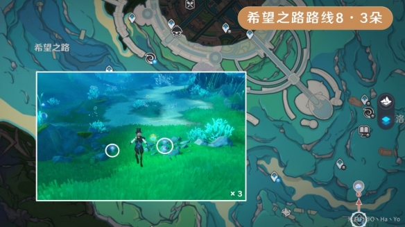 原神海露花怎么获得21