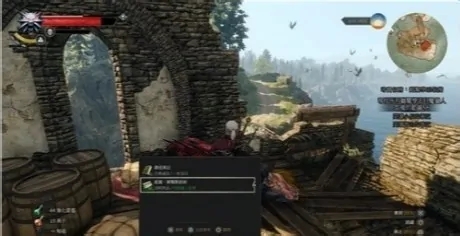 巫师3 如何获得狮鹫套装4