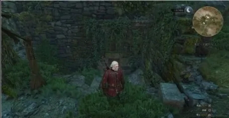 巫师3 如何获得狮鹫套装2