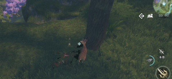 逆水寒手游风物有灵红尘任务怎么做7