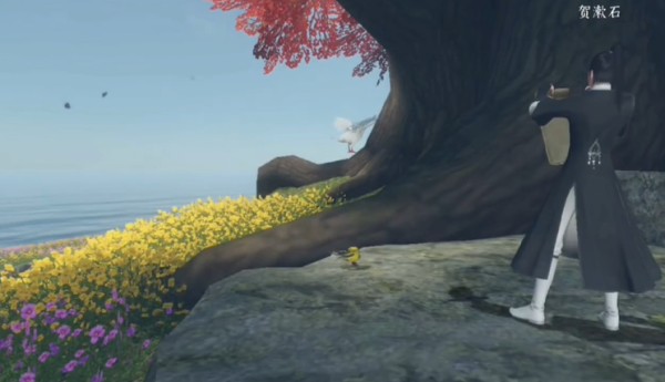 逆水寒手游风物有灵红尘任务怎么做2