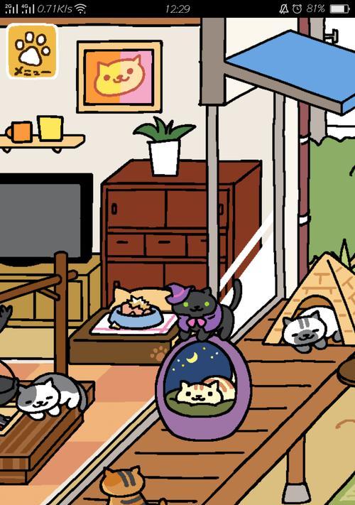 猫咪后院拍照技巧大揭秘（如何让你的猫咪在后院里拍出完美的照片？）