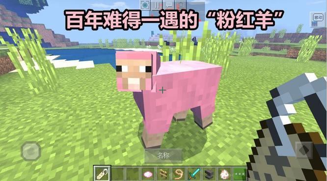我的世界遇到粉色羊的几率是多少