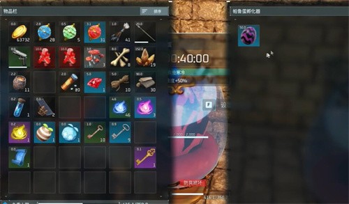 幻兽帕鲁怎么孵蛋 幻兽帕鲁怎么孵蛋孵蛋攻略