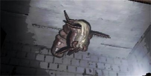 致命公司全怪物介绍 致命公司全怪物应对方法图鉴