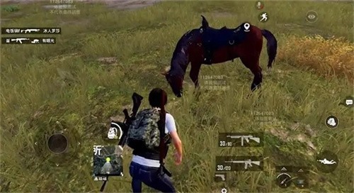 和平精英在哪骑马 和平精英骑马攻略