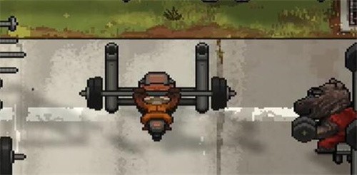 动物迷城收发室密码多少 动物迷城收发室密码攻略