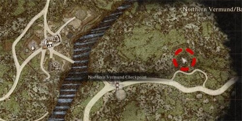 龙之信条2金色帝王艳金龟在哪里 龙之信条2金色帝王艳金龟位置攻略