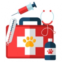 动物护理手机下载免费版