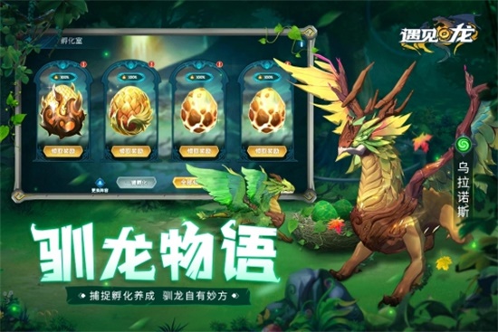 遇见龙内购破解版