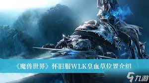 274842-2026020813140269881b9ab129b.jpg