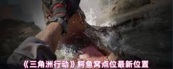274537-202602071321026986cbbe4eb7a.jpg