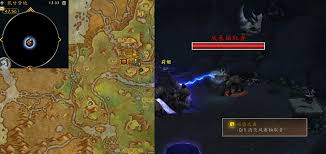 273785-202602051005026983face6d8b3.jpg