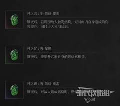 273222-20260203111702698168ae8db4f.jpg