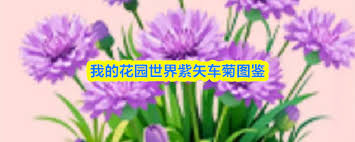 297657-2026050110360269f41192382fc.jpg